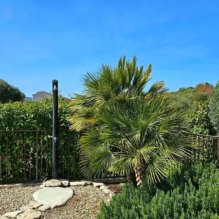 Acqua E Terra Avec Piscine Et Jardin A 350m Du Centre De Saint-florent アパート サン・フロラン
